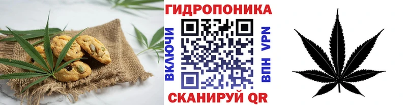 купить   Елец  OMG сайт  Еда ТГК конопля 