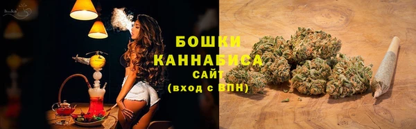соль ск Нея