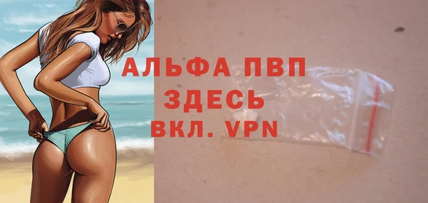 СК Нефтегорск