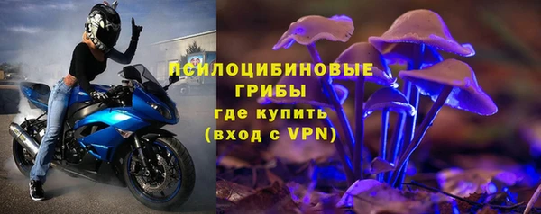 СК Нефтегорск
