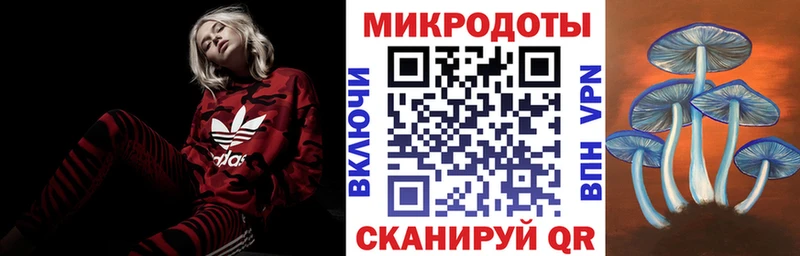где найти наркотики  Елец  Псилоцибиновые грибы Psilocybe 