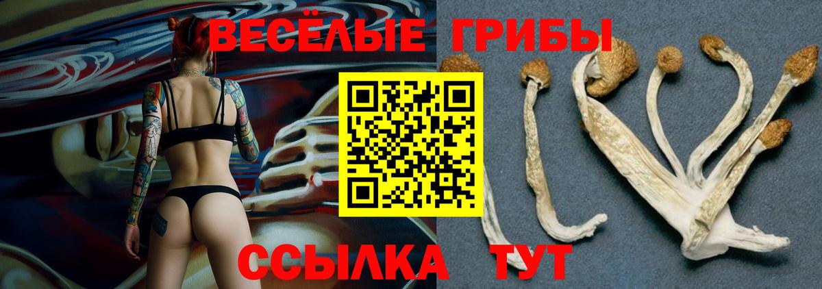 Галлюциногенные грибы GOLDEN TEACHER Елец